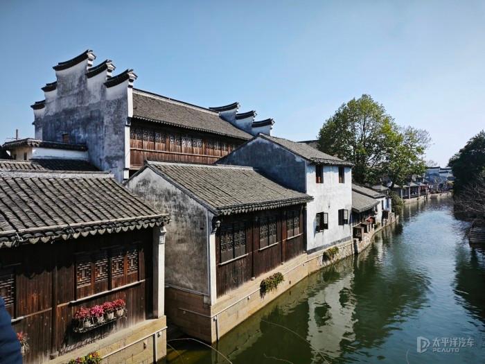 解码一只鹅“链出”大产业!开平市优之名马冈鹅产业纪实